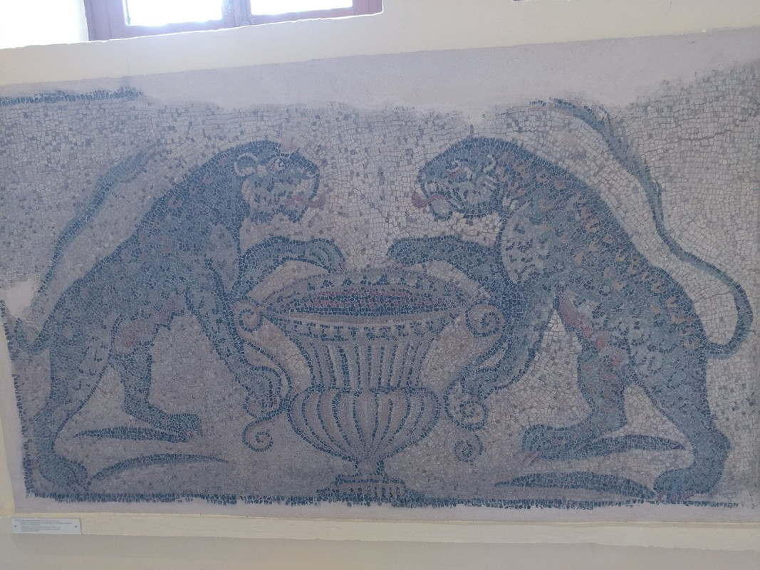 20220613-105126-HDR.jpg