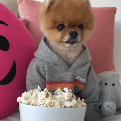 giphy-3.gif
