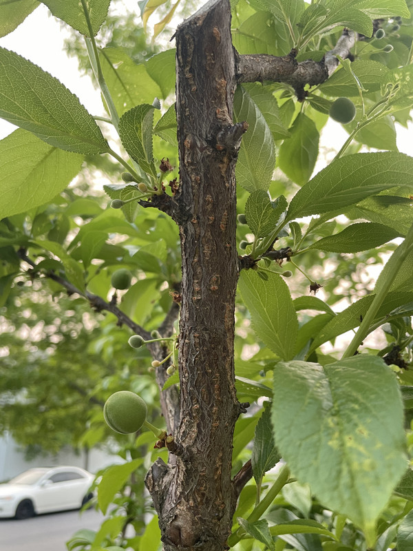 8B03456E-146F-490B-83A6-AF91B73B08FA