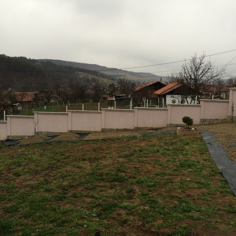 IMG-1224