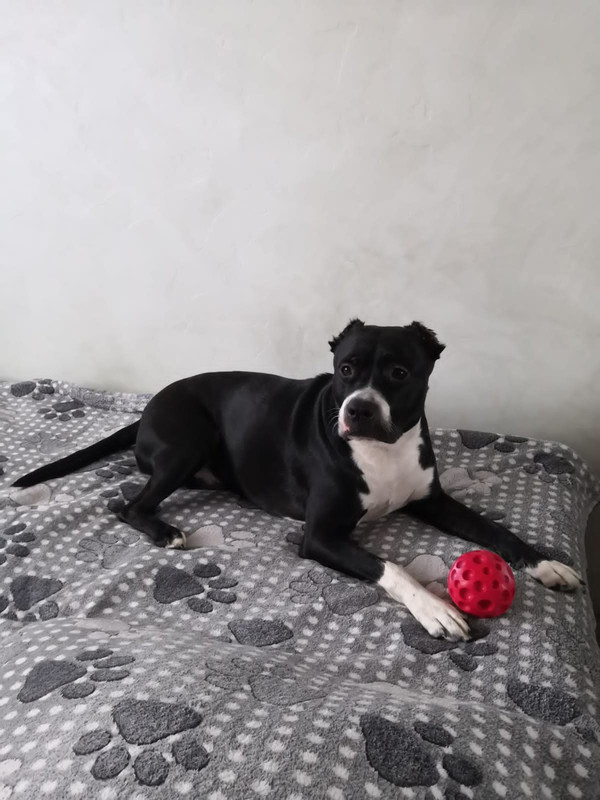 E5EF39C1-E33B-4616-936A-E93583BF619E