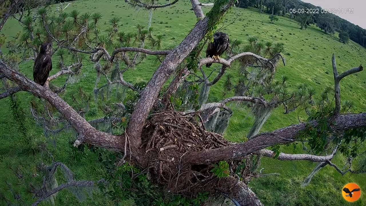 EC 4K Overhead Cam 12-55-59 screenshot