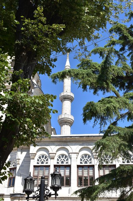 6 Aviones, 3 barcos y 2 trenes, empezando en Estambul y terminando Kuala Lump - Blogs de Indonesia - PRIMERA PARADA: ESTAMBUL (7)