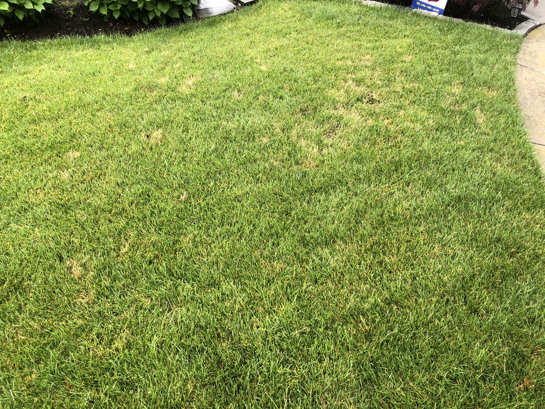 8CBDEF18-661F-4150-9C02-20F2D181C41B