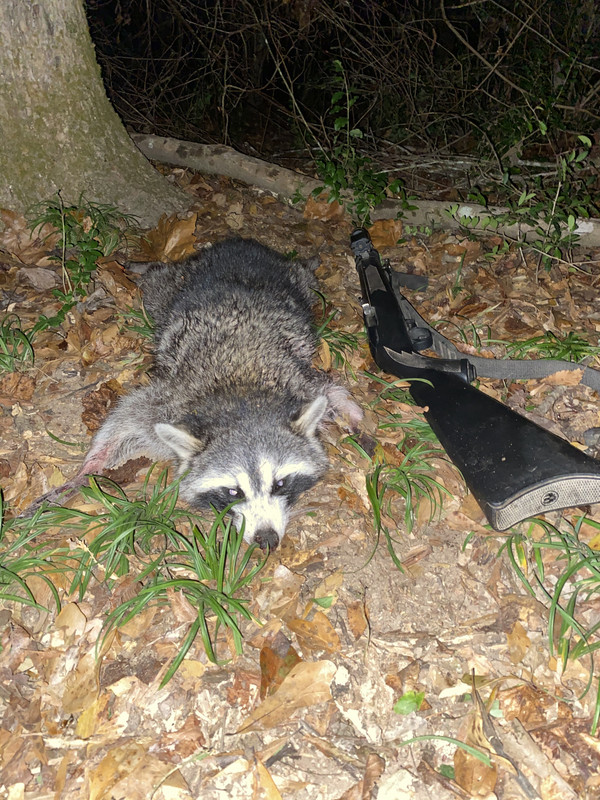 70099964-255D-46C6-8D1C-E7D4A1FC39D7