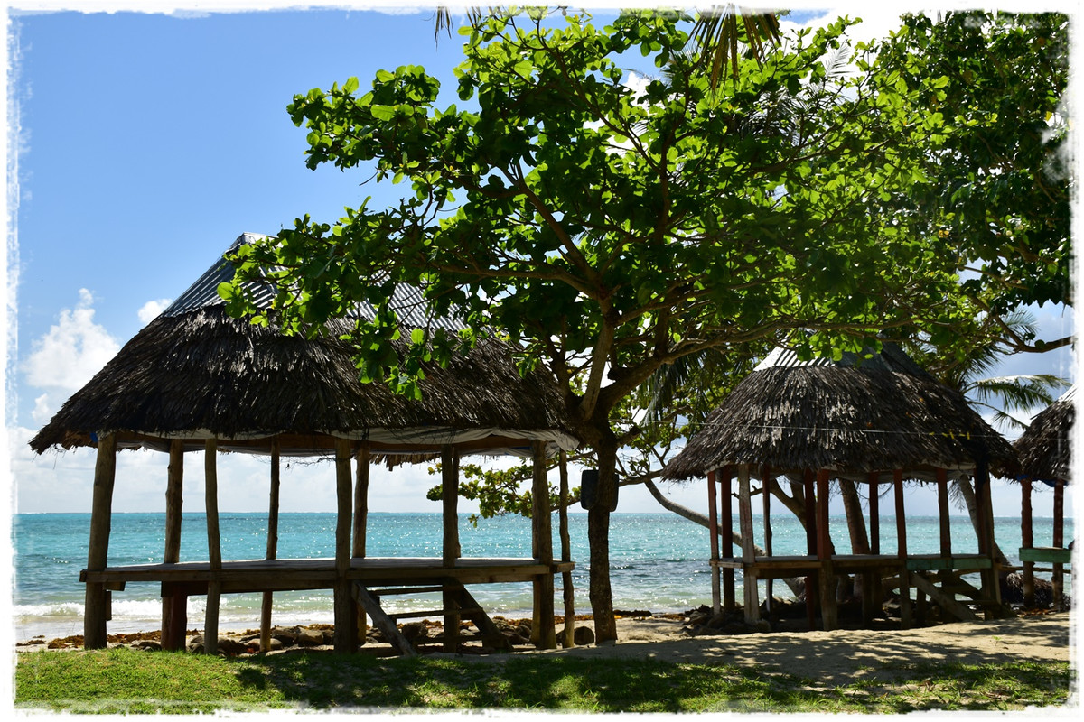 Día 8. Namua Island - Talofa! Samoa, una perla en el Pacífico (6)