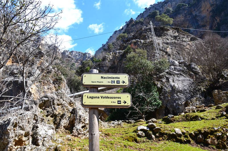 RUTA RIO BOROSA-12-3-2016-JAEN - Paseando por España-1991/2016 (76)