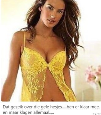 gele hesjes 1