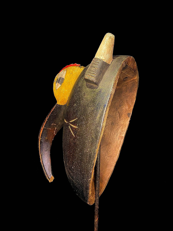 large image 9