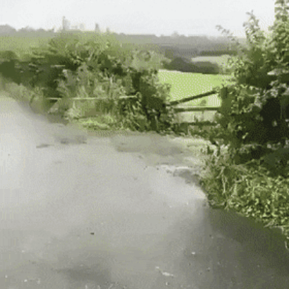 89.gif