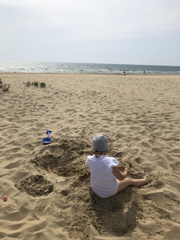 E2C45C67-E1A6-4DEB-8A6A-BCEEC20D1561