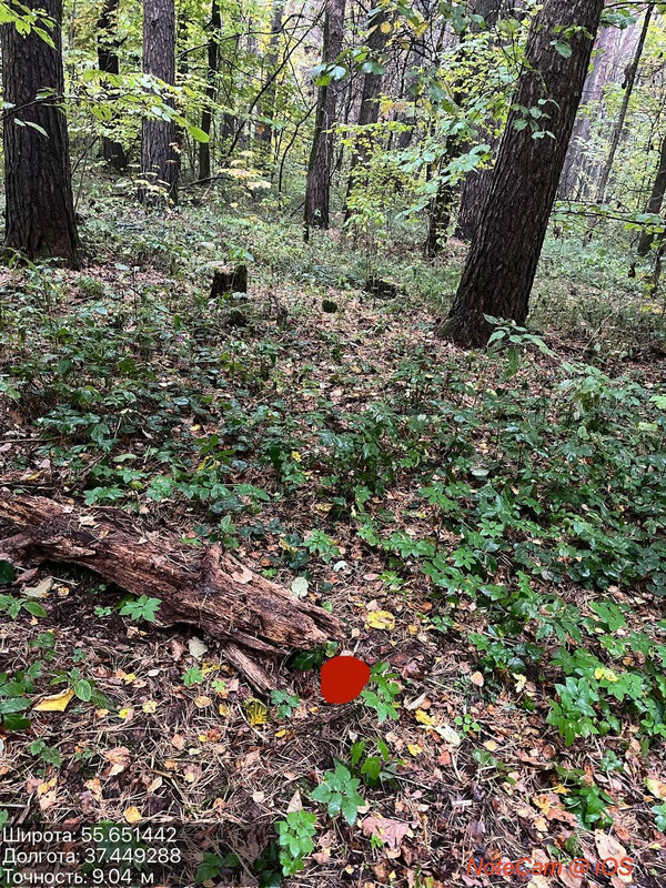 photo_2025-10-07_21-06-54