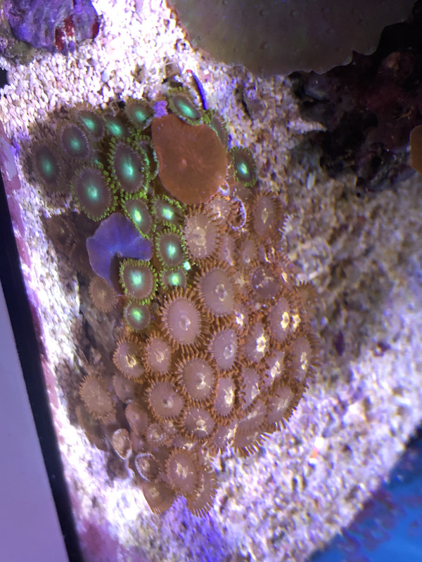 DECFFF06-7844-49BB-867A-423B5C450A35