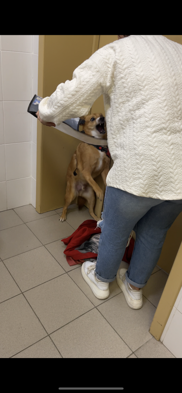 1314B543-59D3-400A-BB8D-F723F2A70B3A