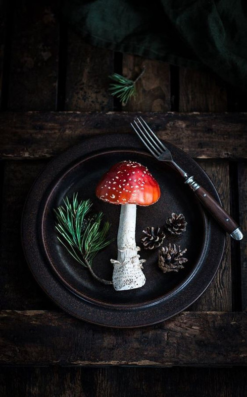 20230203_2324583910917926969703042