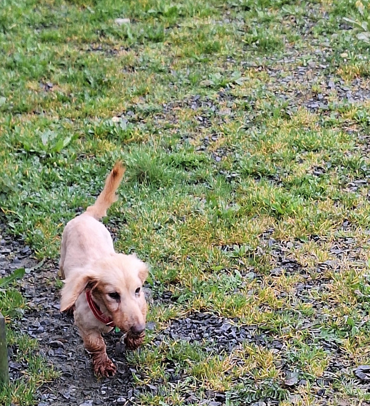 [Image: 20240314-105200.jpg]