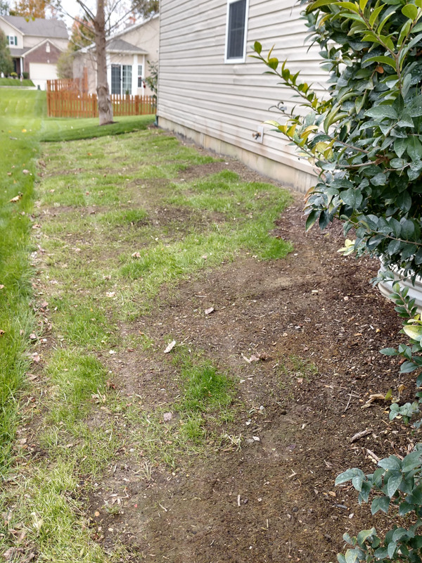 IMG_20171029_124829494_HDR