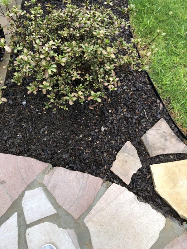 237E26D3-A4D1-4A0D-913F-D32576687295