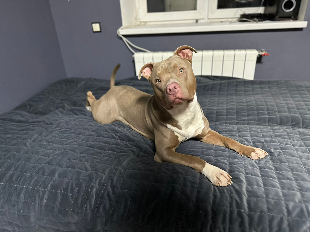 8C533B2B-0094-4C7E-B14C-E1AC4573E106