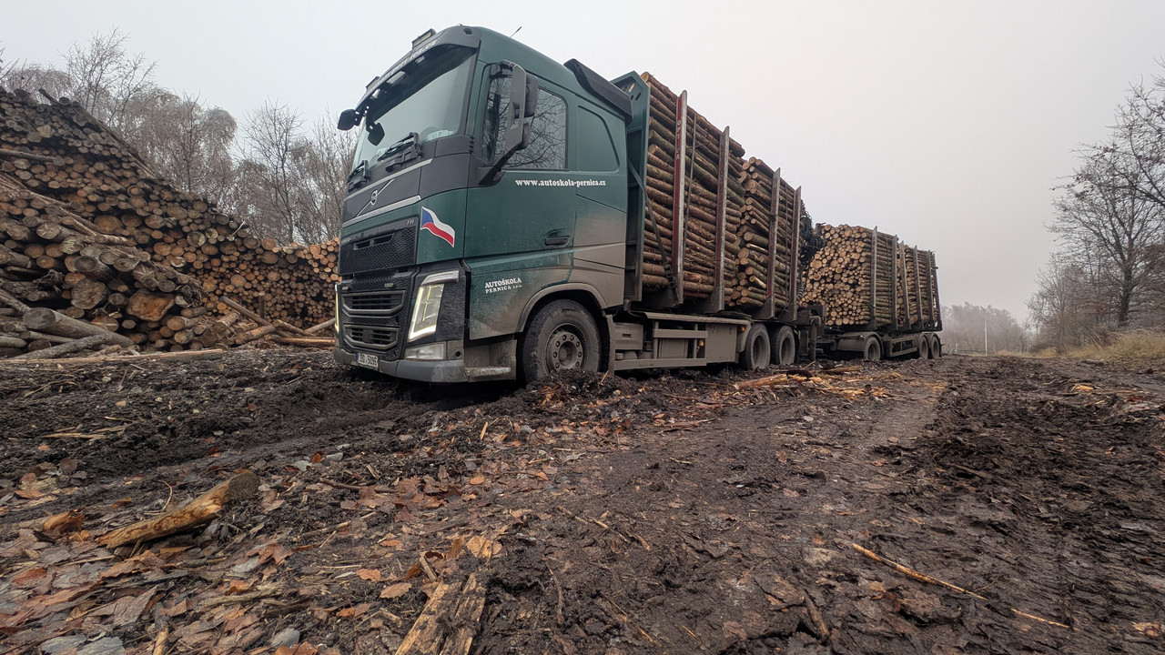 PXL 20251216 132619450