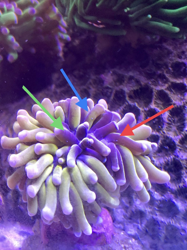 C2E47BFC-CF41-4D0E-B718-A195F0EFF178