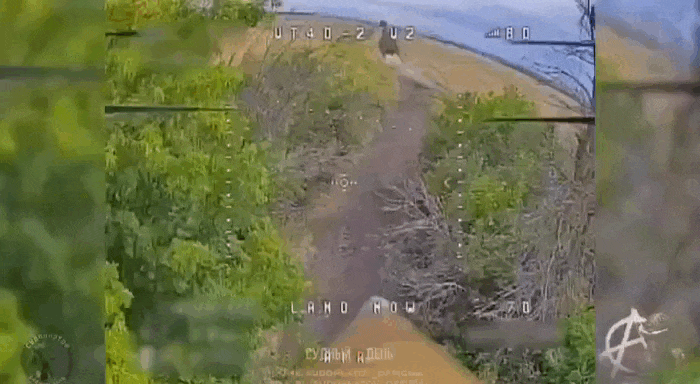 https://i.postimg.cc/xTCTDrw8/video-2026-09-01-00-46-06-(1).gif