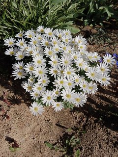 IMG_20240410_104106