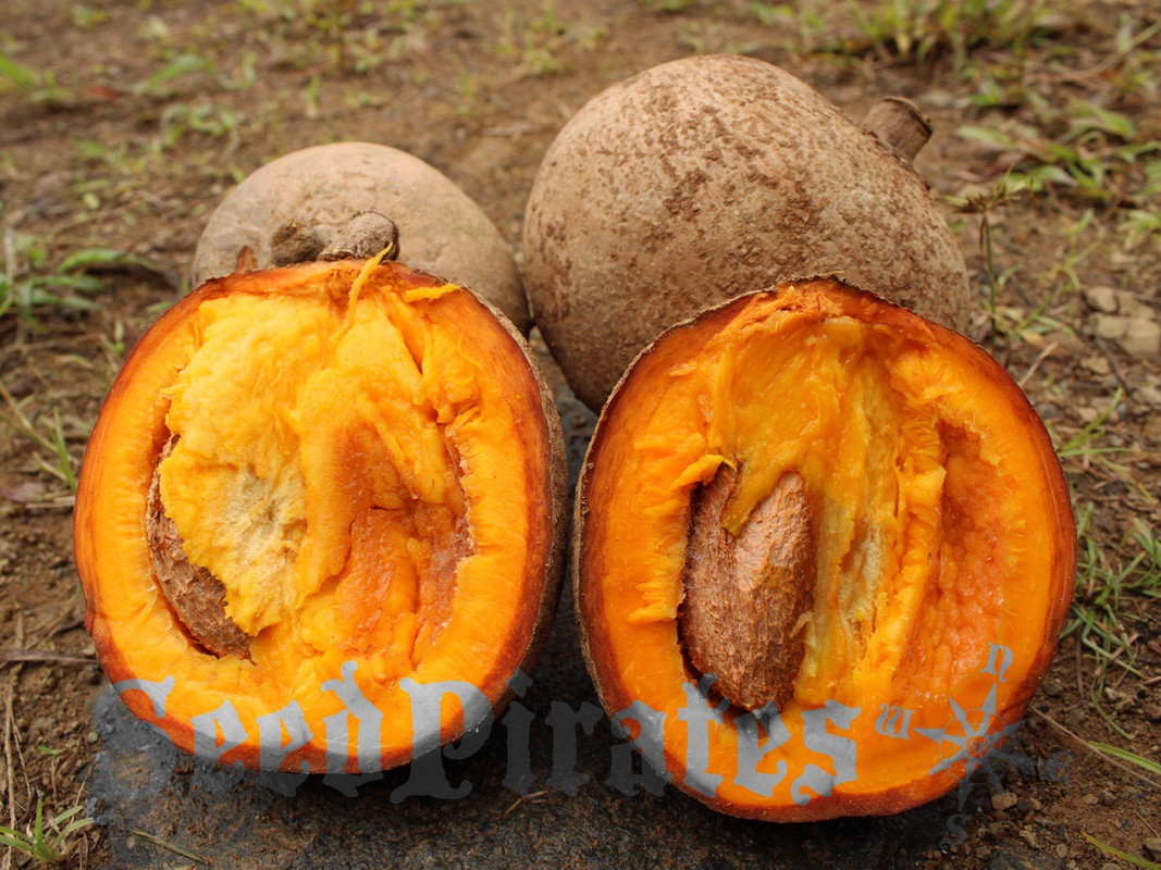 B41E7C48-8359-4D39-A6D2-9AE5A93A1E2B