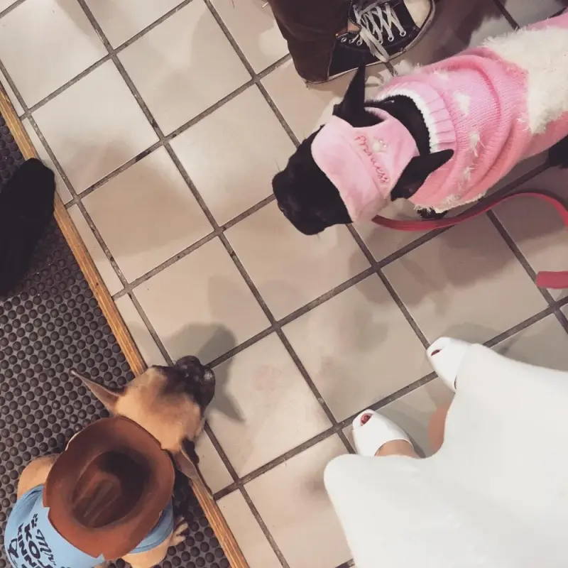 12-23-15-Instagram-001.webp