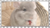 made by @transmascgarfield on tumblr
