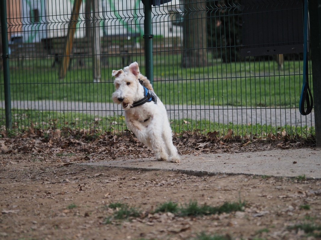 B30DBE78-F3AA-4CB7-ADFD-07C6E06CB2CA