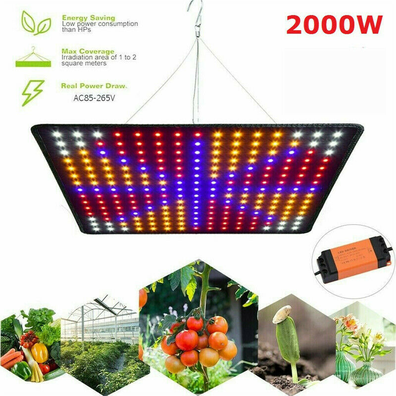 LED 1