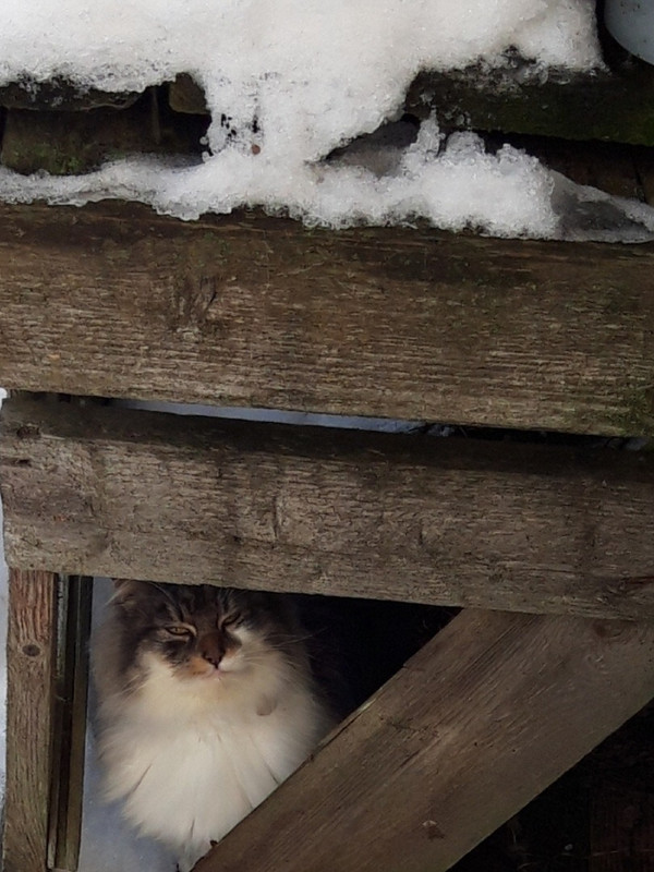 7E8A5BF1-A633-4FFF-8838-A195C6476B9B