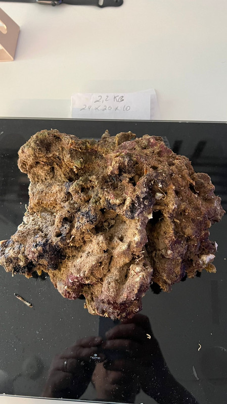 4C0F8EA0-37A3-44D7-9FC7-C9692CE522C9