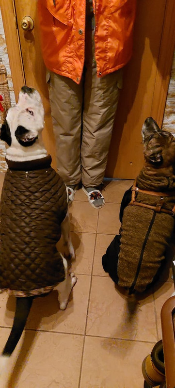 8AE48496-636F-4178-8FD4-33A54FBECFC5