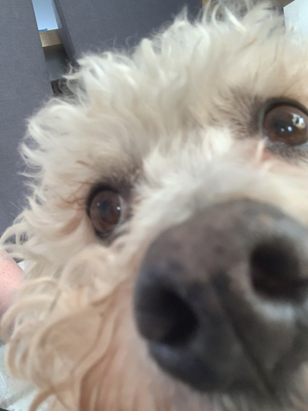 1B6CDEF8-6C6B-4739-AF8E-546447E72DE0