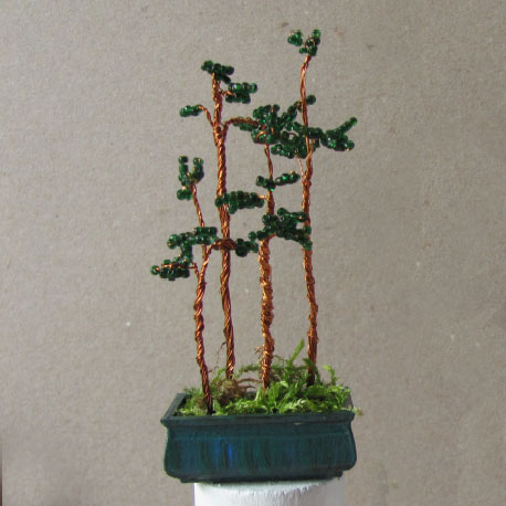 Bonsai Wald