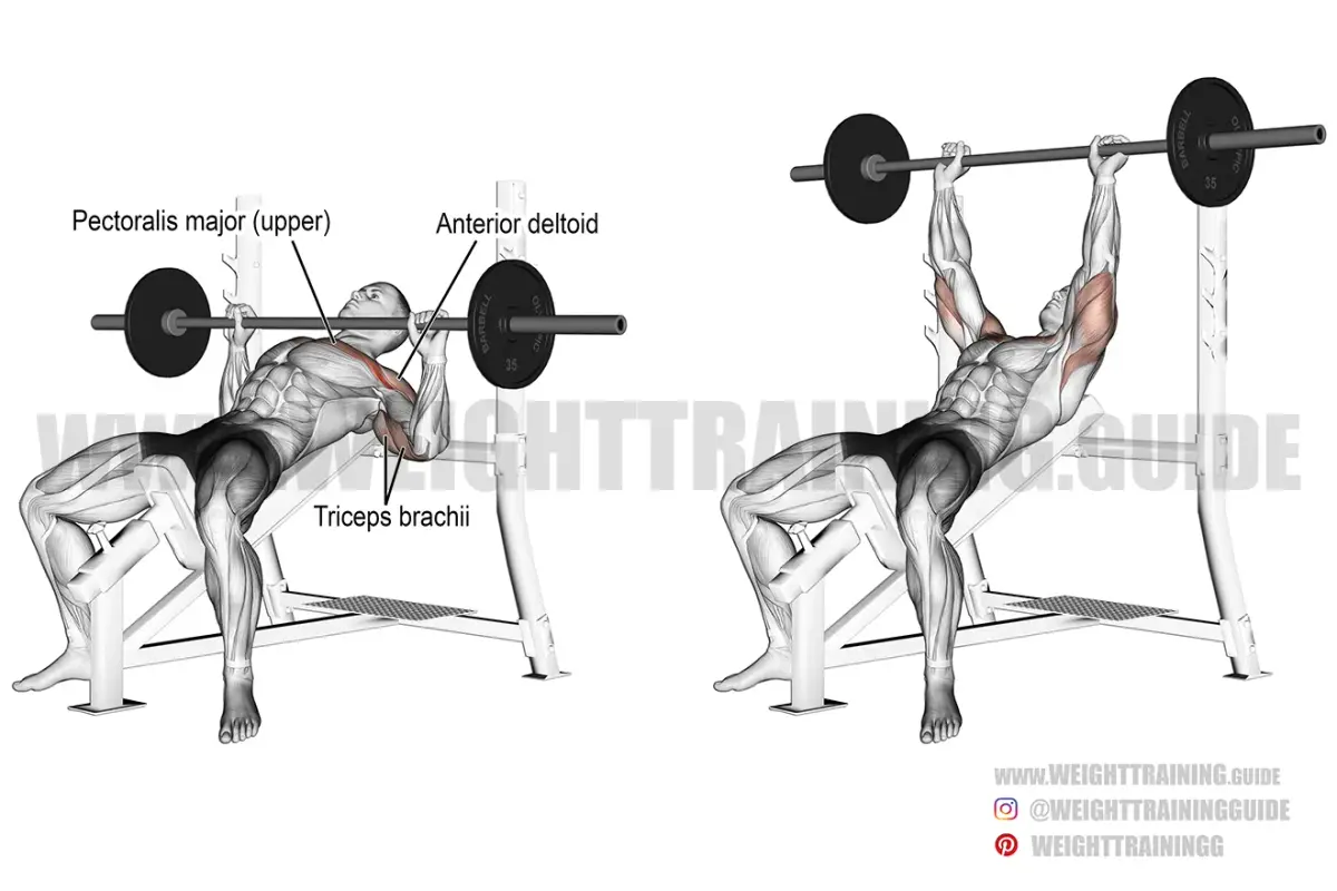 Incline Barbell Bench Press