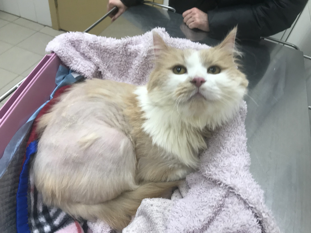 DC10DE7D-9484-4BED-A315-9B966C5C1D32