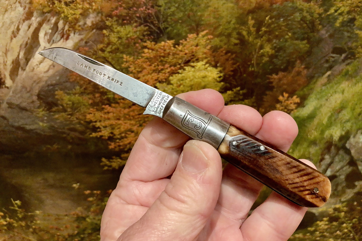 10850262-FE74-4DFC-8062-02A2012C2A40