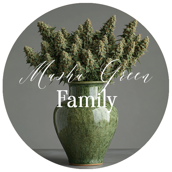 vase-mgf-tr.png