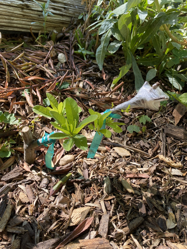 47ADE9D5-B86E-45E3-86BB-31AE599FDA02