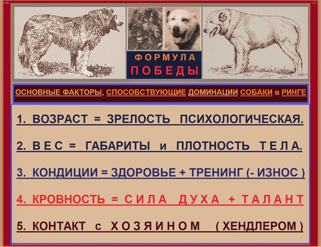 ТИ ФОРМУЛА ПОБЕДЫ ФАКТОР ДОМИНАЦИИ