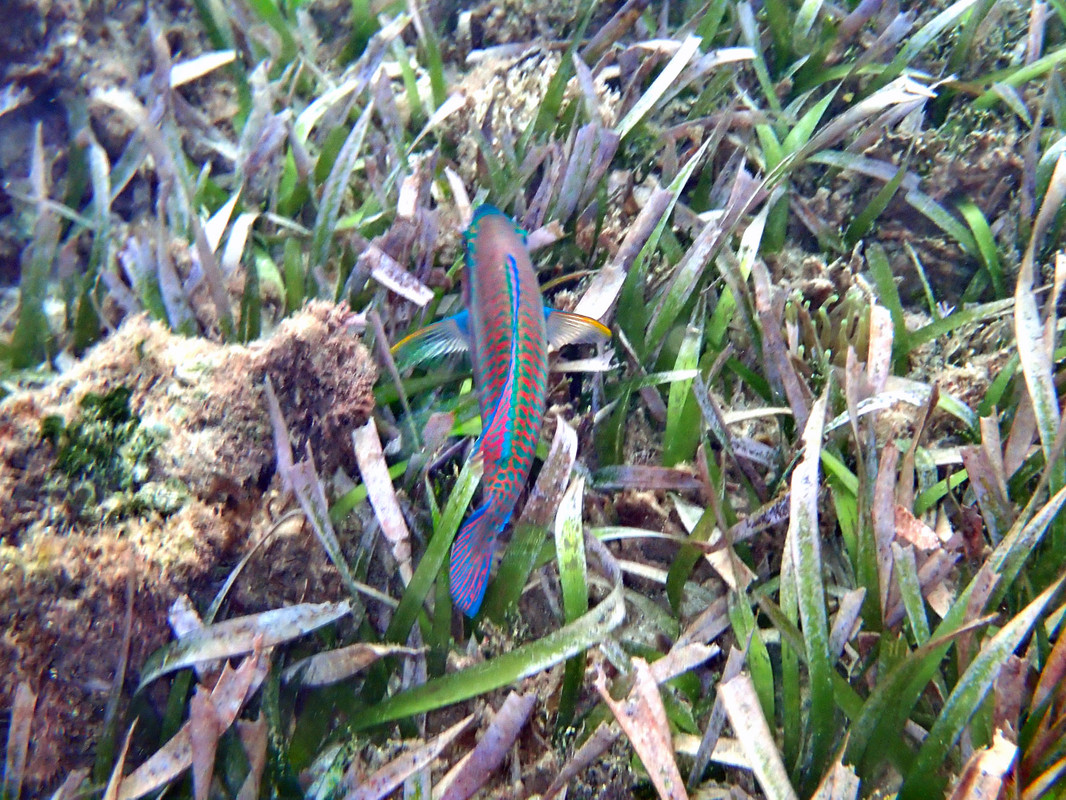 257968032_10162975772082355_7658931409915115140_n