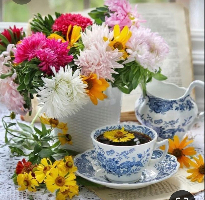 Screenshot_20230409_211510_Pinterest