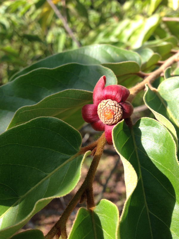 D43BF8A8-05A5-4C0B-86CD-61C0D54F9797