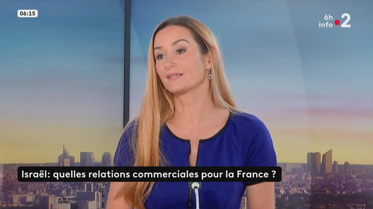 Le 6h info (France 2)_2025_05_21_04_55_81.ts_snapshot_20.54.707