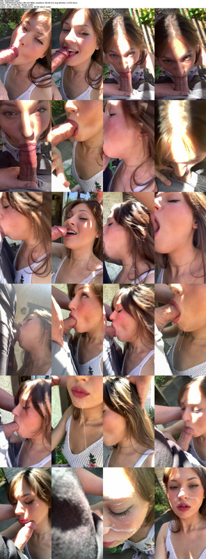 20082024130350screenshot