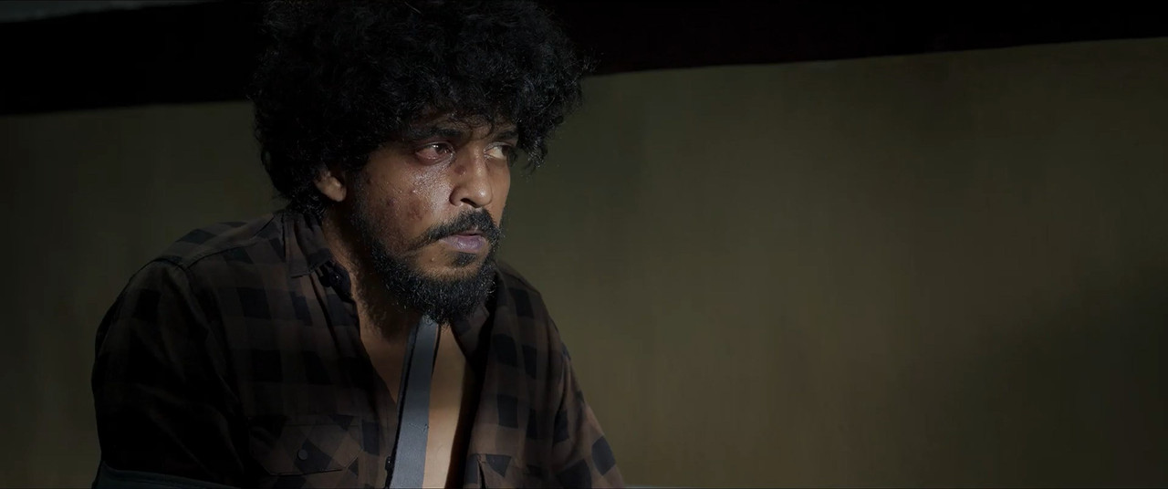 Pani 2024 WebRip [Hindi + Tamil + Telugu + Malayalam + Kannada] 480p, 720p, 1080p ESub Screenshot