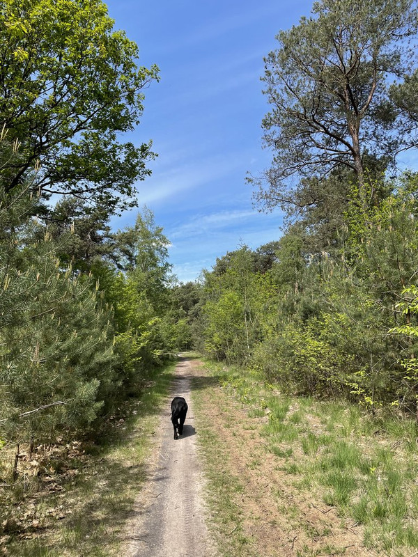 ABCE6F24-3D2F-4448-9466-9A01AD5F67D8